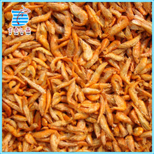 ��̩�|�� �����r �Ꭷ�^�p�~�~ʳ���r �Bֳ�~�D���r �F؛���l