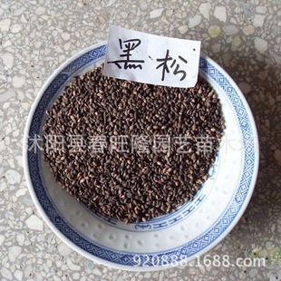 ���l�²� ���ɷN�� ��ѿ�ɷN�� ��ѿ�ʸ߷Nֲ���g �lѿ�ʸ�