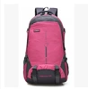 Large rose 45L