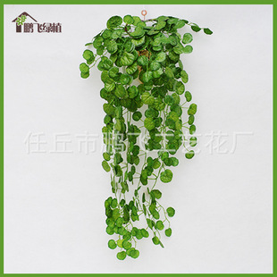 ���滨�ڒ��ٗl��ɽ�����m�����~�������~�ٿ͏d�Ҿ��b�ˇ��