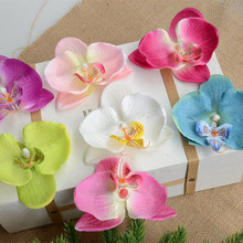 ��������m���� �ٻ� �m���^���� ��Y�ĔzDIY�^���û����l