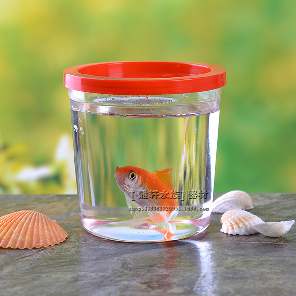 Thick Douyu Tank wholesale Mini Douyu Cup closed small fish tank…