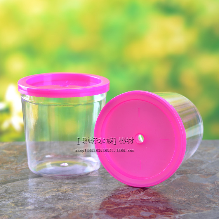 厚みのあるベタ水槽卸売ミニベタカップ密閉型小型水槽プラスチック透明孵化ボックスカップ QQ ボトル|undefined