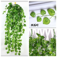 ����Gֲ�ٗl�ڒ��b�����������픾G�~�ٗl�߷����bG