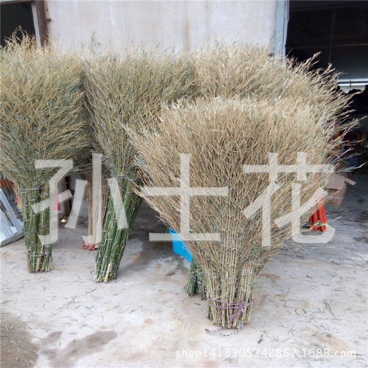 Manufacturer Wholesale Large Broom Bamboo Pole One-Piece Sanitation School Broom Sweeping Road Worker Unit Large Broom Bamboo