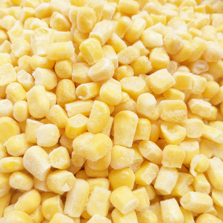 Manufacturer supplies frozen corn kernels in bags, bulk wholesale frozen corn kernels