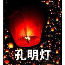 Confucius Lantern Feed Light Light