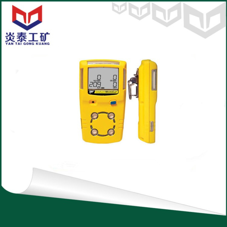 四合一气体检测仪 加拿大BW气体检测MC2-4 便携式复合气体探测仪