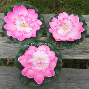 ����10cm�ɻ����~ģ���b�ˇ�ٻ���ĭɏ����������΢���^�Ʒ