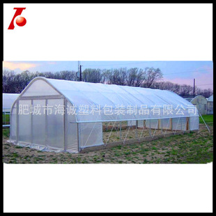 Tarpaulin Manufacturer Professional Processing Greenhouse Transparent Tarpaulin Agricultural Tarpaulin Translucent Transparent Woven Cloth for Insulation Shed