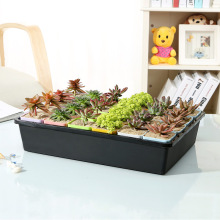 ���Ľ�ˮ�P����P����ѿ������ϻ������ֲ�ﻨ���С�ڷ��M��