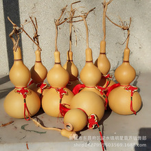 �S�����l ���J ��̖�������J 肿ھƺ��J���_�ں��J