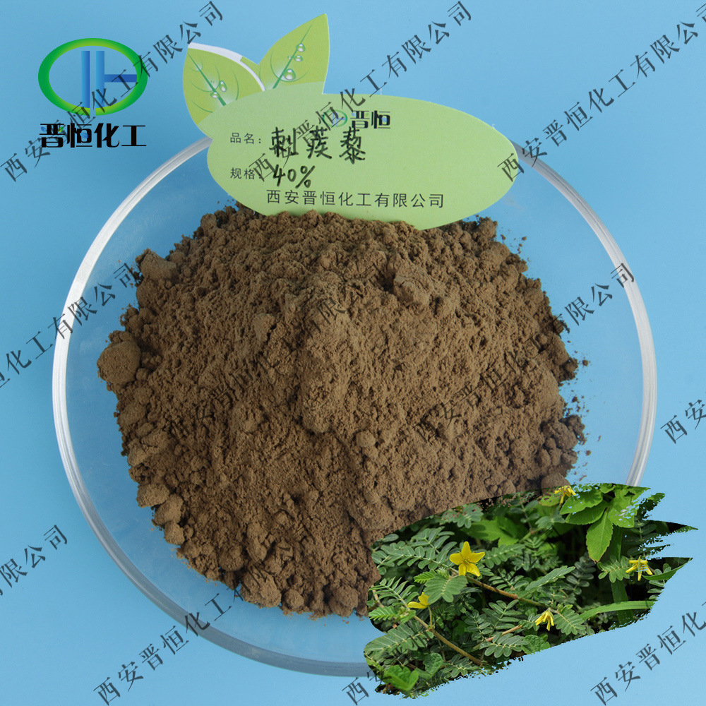 刺蒺藜皂甙 40%  刺蒺藜提取物 原料   1KG起订现货