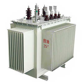 山东明大电力油浸式变压器S11-160KVA/10KV 50HZ三相室外杆上防水