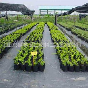 ���@��ɫpp���ݲ��@ˇ�ز����l��������Ƭ���ݲ�pe�w�ݲ� �S��