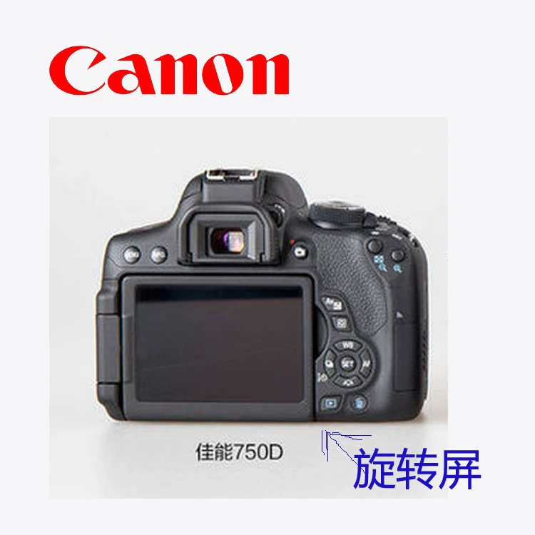 750D фотоаппарат SLR 24.2 млн пикселей 18-135 18-55WIFI вращающийся экран внешний торговый магазин гарантия год