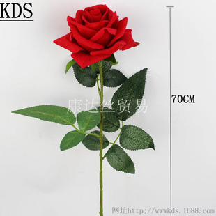 ���滨 õ�廨 �鷿���ýq����õ���˹��껨�Ƶ��c�b��ټٻ�