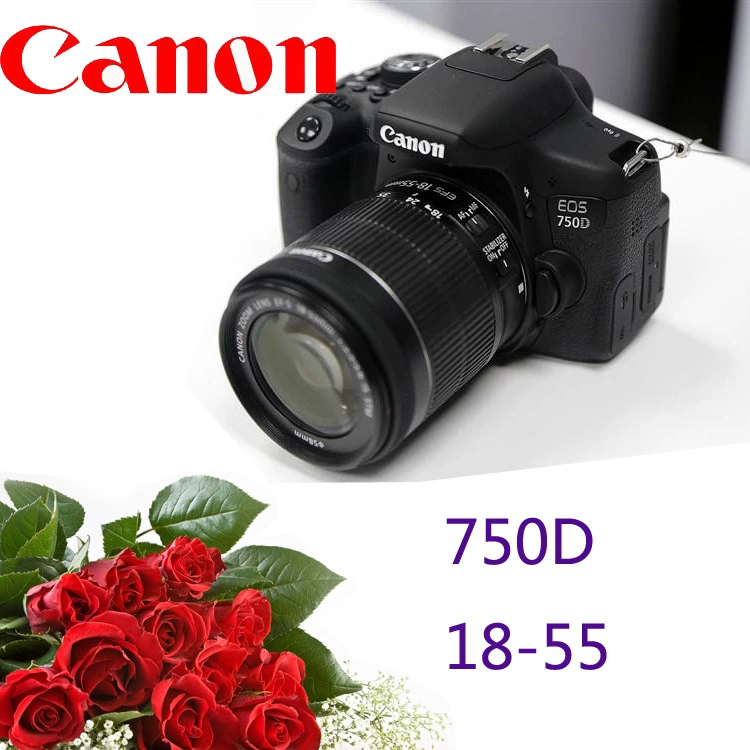 750D фотоаппарат SLR 24.2 млн пикселей 18-135 18-55WIFI вращающийся экран внешний торговый магазин гарантия год