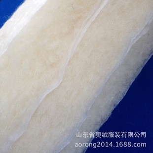 ̼����ë�޽z����ë���r������ë��Ƭ�q��Ƭ�q��