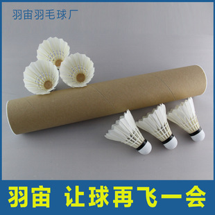 �o������ë�����l12̖�w�з���Ӗ���ð��ՏS�����aֱ�N���l