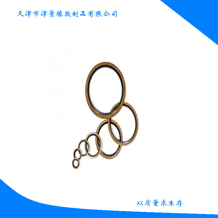 供应执行标准JB982-77氟胶加304不锈钢组合垫