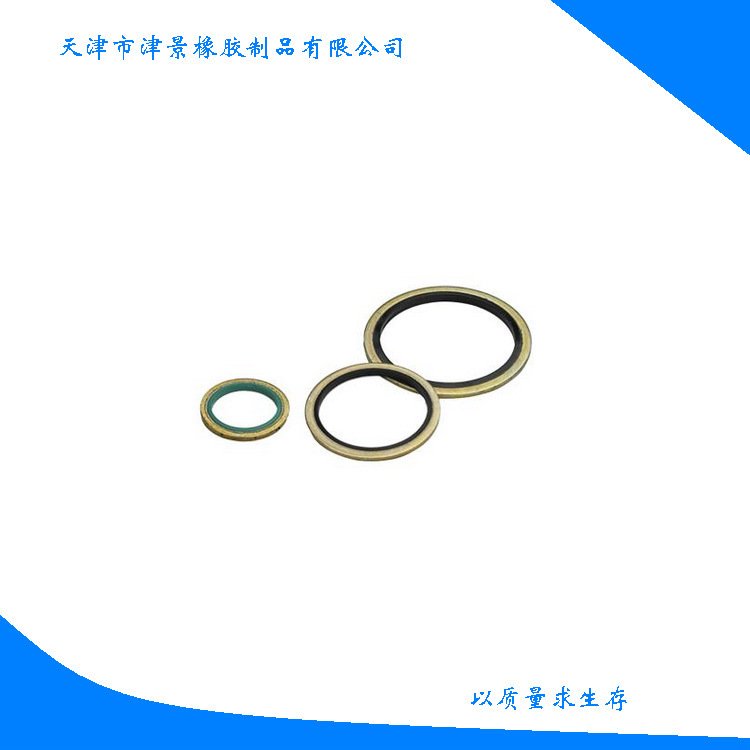 供应JB982-77NBR/FKM橡胶组合垫圈