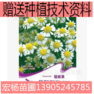 Aromatic Plant Series Color Pack Flower Seeds Mosquito Repellent Grass Seeds 100 Capsules