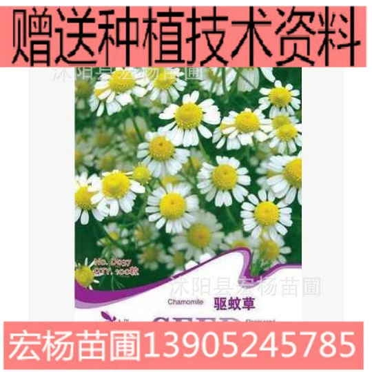 Ароматические растения серии цвет мешок цветок видов комаров травы видов 100 зерен