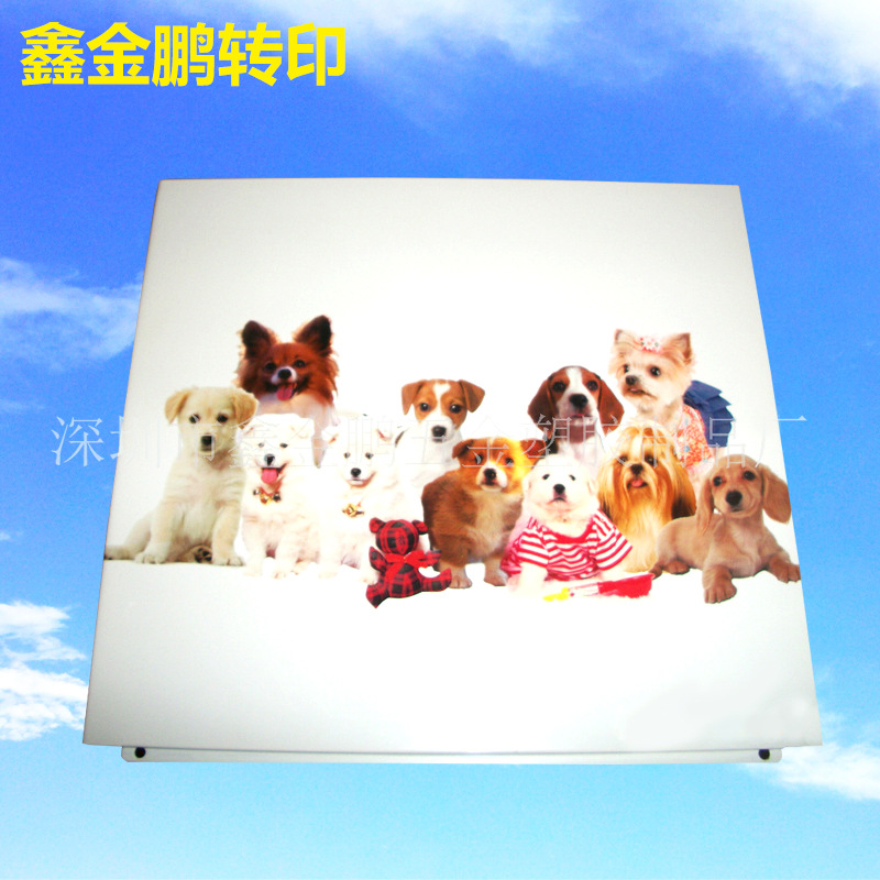 源头厂家专业提供水转印喷油水贴卡通人物花草动物图案全自动UV