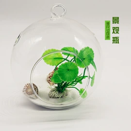 装饰花瓶;微景观;玻璃工艺品
