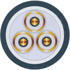 交联电力电缆    YJV22  安徽天康（集团）股份有限公司