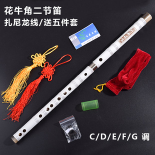 ���Ӷ�����цβ����������������崵�������S�����l �W�����W