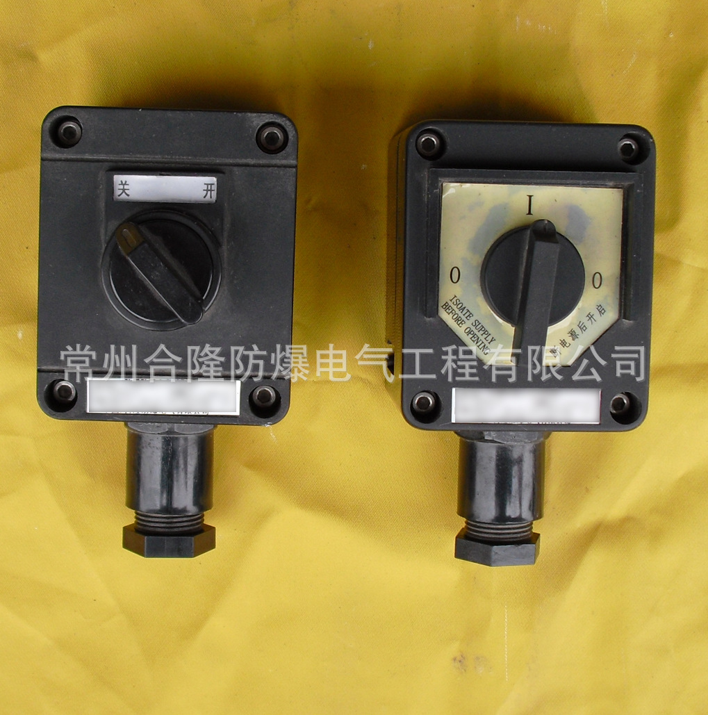 【厂家供应】防爆防腐照明开关