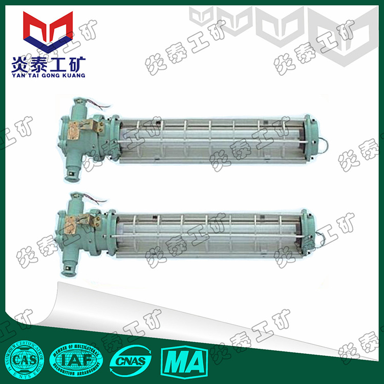 DGS20/127Y矿用荧光灯 20W矿用隔爆型荧光灯 矿用灯