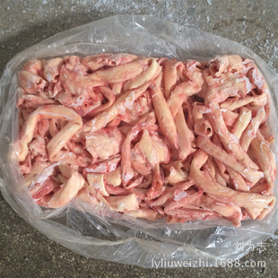 �������|�i��đ/���^����i�X�׹����r����i�S���i�tʳ