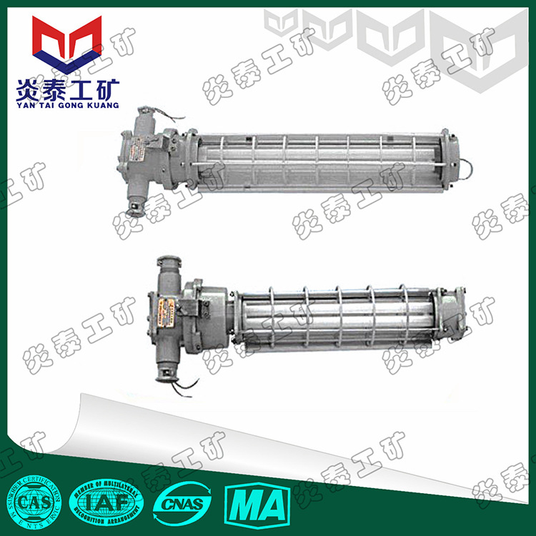 DGS36/127Y(A）矿用防爆荧光灯，矿用隔爆型荧光灯，节能荧光灯