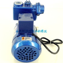 清水泵 自吸式 小型 永帆GP-125空調泵家用220V自吸泵 高揚程單相