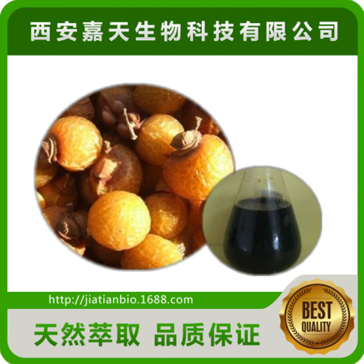 天然无患子提取液 无患子提取物 无患子皂甙批发多种规格量大从优