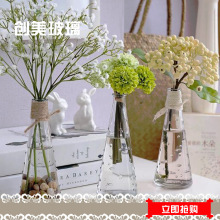 厂家直销高硼硅创意玻璃瓶 微景观铁架创意礼品微观生态瓶