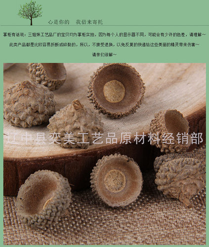 Oak hat, rubber shell, acorn home furnishings, hat, handmade DIY jewelry, handicraft pendant, photography props