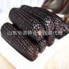 Sweet and sticky corn seeds black sweet glutinous sticky bud rice seed seed seeds and black glutinous sweet glutinous corn seeds