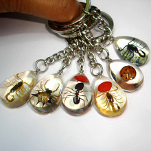 夏季新款树脂滴胶昆虫琥珀钥匙扣挂件小物品真地摊景区爆款吊坠