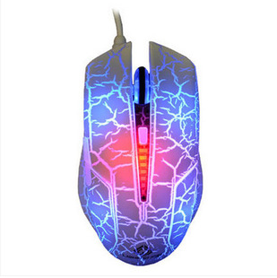 DH�º�����G25�W����� ׃��������� �о��Α����CFCS �Ѽy�l��