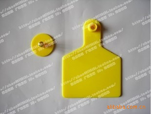 供应猪耳标 猪用耳牌 猪耳牌 猪用耳标 台湾带铜头耳标