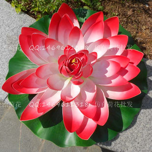 ����ɻ���̖60cm�tɫ�ٻ���c������˯ɏ�~���Ʒ�͏d���^�b�