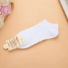 【Pure Section】 White