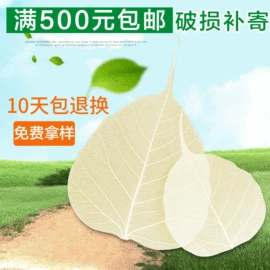 工艺原料;植物工艺品;书签