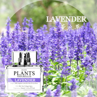 �����������ľ�㺣��ζ����޹�²�ɳ����ˮ��޹�Y�����bһ�����l