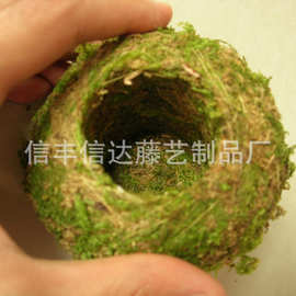 厂家批发 复活日本苔玉 苔藓球 青苔球 懒人花盆 创意盆栽 微景观