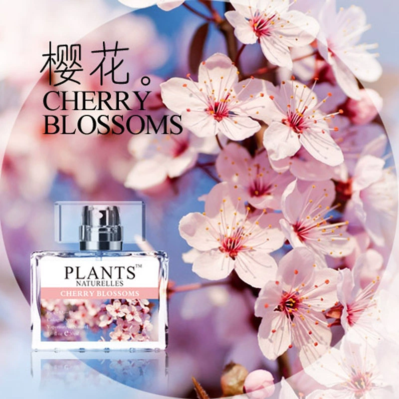 Производитель духов, оптовая продажа, объемные духи, пробирка, образец раннего ухода, духи, свежий аромат, роликовый шарик, духи, аромат вишни